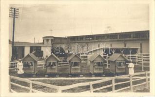 1952 Budapest, Országos Állattenyésztési Kiállítás - 2 db képeslap / 2 postcards + So. Stpl