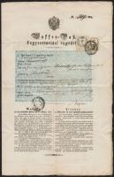 1862 Fegyvertartási engedély barkóci lakos részére / 1862 Waffen Pass- Gun licence for