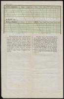 1862 Külföldi útlevél pétersdorfi lakos számára / 1850 Passport