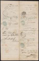 1862 Külföldi útlevél pétersdorfi lakos számára / 1850 Passport