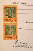 cca 1930 Magyar Magtenyésztési Rt + Grünhut számlák