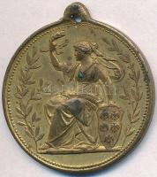 Ausztria 1888. "A Császári és Királyi Praterben tartott Jubileumi Kereskedelmi Kiállítás Emléké...