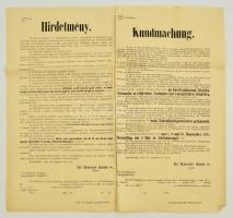 1895 Szombathely, Hirdetmény katonai ellenőrzési szemléről, kétnyelvű, 39x41,5 cm