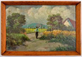 Illés jelzéssel: Hazafelé. Olaj, falemez, keretben,19×29 cm