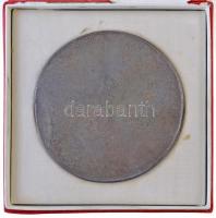 Rácz Edit (1936-) DN "Vezess Baleset Nélkül Mozgalom" Br emlékplakett eredeti "FŐVÁRO...