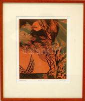 Reich Gábor (1951- ): Ikarusz szignált, számozott linómetszet keretben 35x30cm