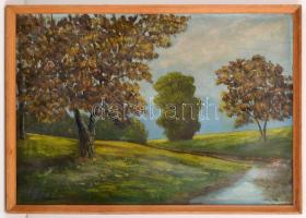 Balla jelzéssel: Folyópart. Olaj, karton, keretben, sérült, 46×66 cm