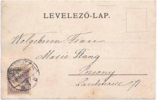 1901 Pozsony, Bratislava, Pressburg; utcakép / street view, photo