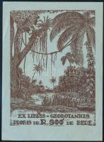 1934 Várkonyi Károly (1910-2001): Prof. Dr. Berei Soó Rezső (1903-1980) botanikus, számára készített...