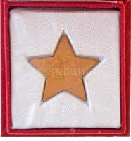 1968. "50 éves az MKP" zománcozott fém veret, eredeti díszdobozban (33mm) T:1