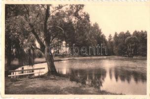 4 db RÉGI képeslap; Somorja, Bozó üdvözlő, Putte-Grasheide / 4 pre-1945 postcards, Samoryn, greeting...