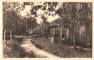 4 db RÉGI képeslap; Somorja, Bozó üdvözlő, Putte-Grasheide / 4 pre-1945 postcards, Samoryn, greeting...