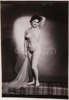 cca 1950 Demeter Károly (1892-1983) műtermében készült aktfotók, 6 felvétel 4 db fotópapíron, vintag...