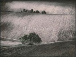 cca 1975 Mezőgazdasági tájak, 2 db vintage fotóművészeti alkotás Gebhardt György (1910-1993) hagyaté...