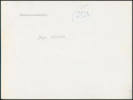 cca 1975 Mezőgazdasági tájak, 2 db vintage fotóművészeti alkotás Gebhardt György (1910-1993) hagyaté...