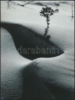 cca 1974 Itt a tél, 2 db vintage fotóművészeti alkotás Gebhardt György (1910-1993) hagyatékából, fel...