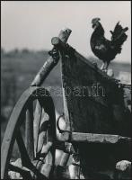 cca 1969 Gebhardt György (1910-1993) hagyatékából 2 db vintage fotóművészeti alkotás, jelzés nélkül,...