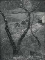 cca 1960 Dezső Pál (?-?) kecskeméti fotóművész 3 db vintage alkotása, kettő feliratozva, 8x23 cm és ...