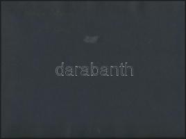 cca 1975 Imreh István: A lány, feliratozott vintage fotó, a kortárs magyar fotográfia avantgarde kor...