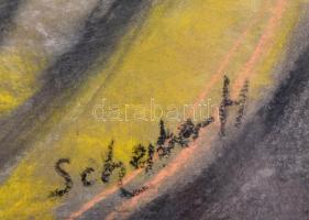 Scheiber jelzéssel: Nő kalapban. Pasztell, papír, üvegezett keretben, 60×50 cm