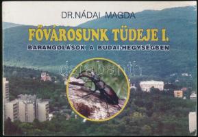 Dr. Nádai Magda: Fővárosunk tüdeje I. kötet: Barangolások a Budai-hegységben. Bp., 1993, Szivárvány Gyermekház. Kiadói papírkötés.