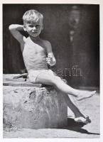 ifj. Tildy Zoltán: Napsütésben. (Fényképezés a természetben.) Bp.,1956, Művelt Nép. Kiadói félvászon...