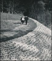 cca 1970 Krisch Béla (?-?) kecskeméti fotóművész 3 db vintage alkotása, pecséttel jelzett, 24x13,5 c...