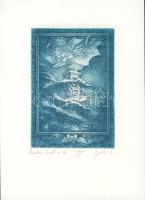 Egresi Zsuzsa (1954- ) Amikor hull a hó szignált rézkarc 12x9cm