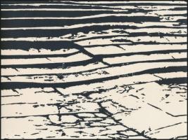 cca 1973 A kortárs magyar fotográfia avantgarde korszakából Szabó Anna: Emlékek I-II. című 2 db vint...