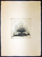 Kovács Imre (1938- ) számozott, szignált, cinkkarc merített papíron (EA I/XV. jelzéssel) 42x30cm + rövid ismertető a művészről