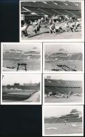1953 A Népstadion füvesítése, 6 db fotó, 7×9 ill. 9×14,5 cm