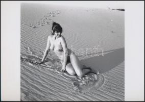 cca 1974 Bugyi nélkül bármi lehetséges, szolidan erotikus fényképek, 4 db vintage negatívról készült...