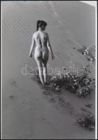 cca 1972 Társkereső, szolidan erotikus fényképek, 4 db vintage negatívról készült mai nagyítások, 25...