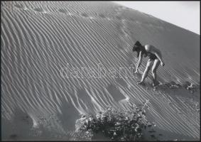 cca 1972 Társkereső, szolidan erotikus fényképek, 4 db vintage negatívról készült mai nagyítások, 25...