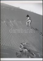 cca 1971 Fantázia, vagy valóság, szolidan erotikus fényképek, 4 db vintage negatívról készült mai na...