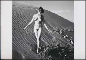 cca 1976 Klasszikus női pózok, szolidan erotikus fényképek, 4 db vintage negatívról készült mai nagy...