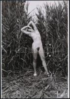 cca 1973 Négy modellről szolidan erotikus fényképek, 4 db vintage negatívról készült mai nagyítások,...