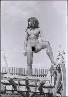 cca 1974 Szép emlékek, szolidan erotikus fényképek, 4 db vintage negatívról készült mai nagyítások, ...