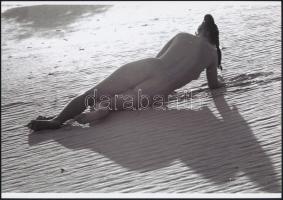 cca 1973 A fiatalság legszebb éke, szolidan erotikus fényképek, 4 db vintage negatívról készült mai ...