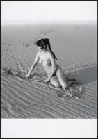 cca 1979 Örök időkre szóló jókívánság, szolidan erotikus fényképek, 4 db vintage negatívról készült ...