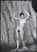 cca 1974 Mozdulatok, szolidan erotikus fényképek, 4 db vintage negatívról készült mai nagyítások, 18...