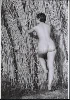 cca 1978 Pucér lányok huncut képei, szolidan erotikus fényképek, 5 db vintage negatívról készült mai...