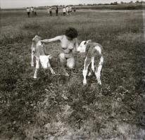 cca 1975 Aktfotózás szabadban, műteremben, lakásban, 13 db vintage negatív, 6x6 cm