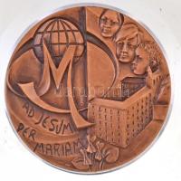 Olaszország DN "Marcellin Champagnat / ad Jesum per Mariam" Br plakett átlátszó műanyag ke...