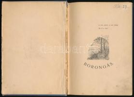 Farkas Sándor: Borongás. Zilah, 1905, Szerzői kiadás (?), Seres Samu Könyvnyomdája-ny. Kiadói kissé ...