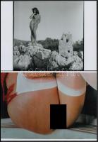 cca 1972 Szép leányok csupasz bája, szolidan erotikus fényképek, 13 db vintage negatívról készült ma...