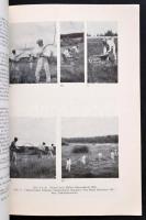 cca 1930-1960 Korompay Bertalan (1908-1995): etnológus részére megküldött nagyrészt folklór és finnu...