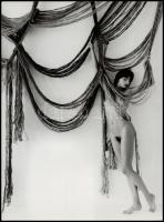 cca 1986 Menesdorfer Lajos: Dekoráció, pecséttel jelzett, vintage fotóművészeti alkotás, 40x30 cm