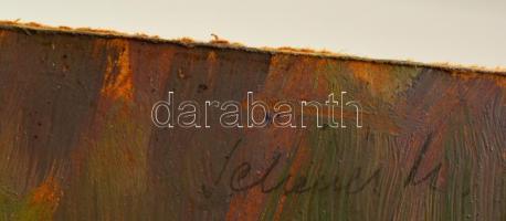 Schéner Mihály (1923-2009): Virágcsendélet. Olaj, farost, jelzett, 50×40 cm