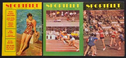 1970 Sportélet. VI. teljes évf., 1970. január-december 1-12. Tűzött papírkötés. Jó állapotban